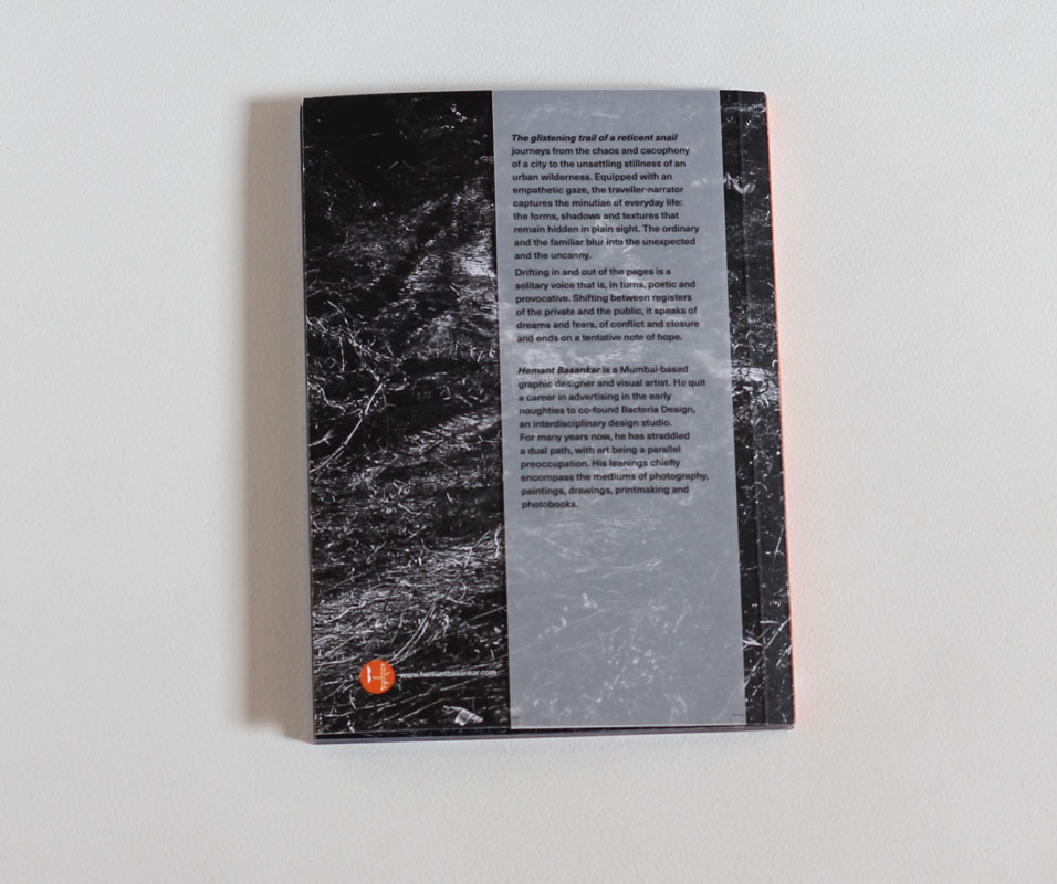 The glistening trail of a reticent snail